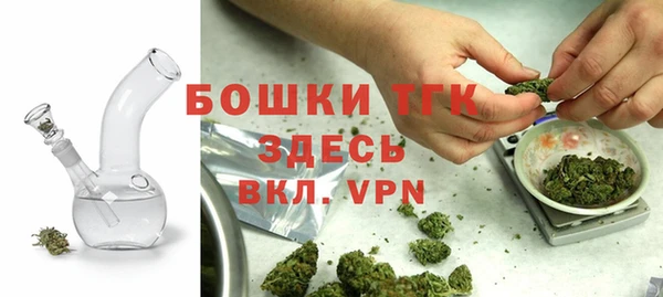 тгк Гусь-Хрустальный