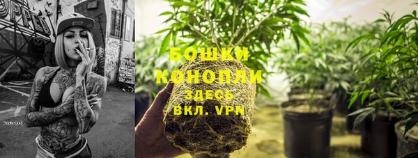 тгк Гусь-Хрустальный