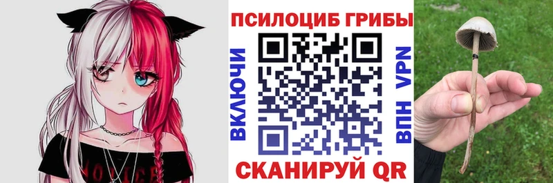 Псилоцибиновые грибы мицелий  мориарти официальный сайт  Гусь-Хрустальный 