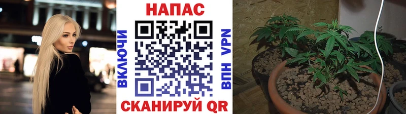 Конопля ГИДРОПОН  Гусь-Хрустальный 